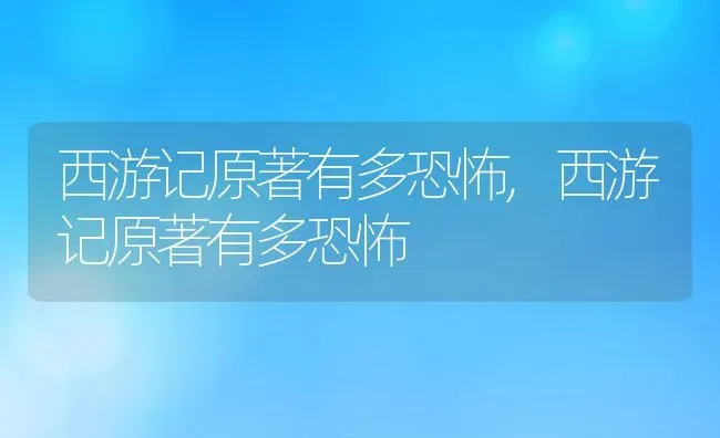 西游记原著有多恐怖,西游记原著有多恐怖 | 养殖常见问题