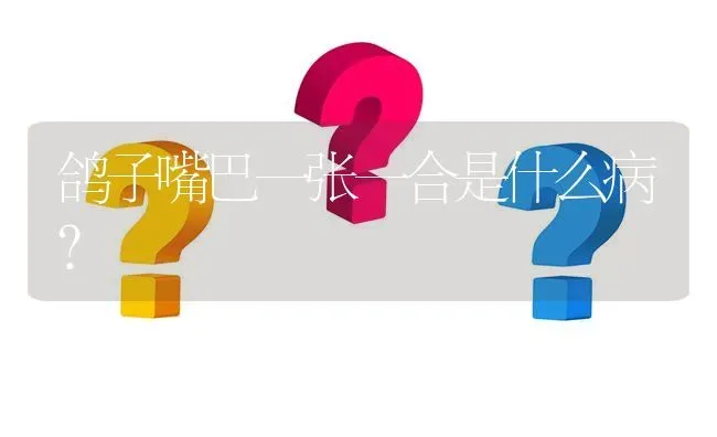 鸽子嘴巴一张一合是什么病? | 养殖问题解答