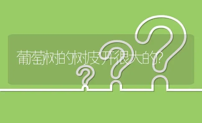 葡萄树的树皮开很大的? | 养殖问题解答