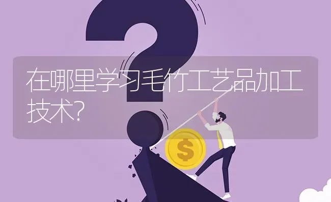 在哪里学习毛竹工艺品加工技术? | 养殖问题解答