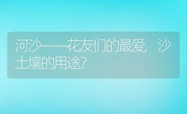 河沙——花友们的最爱,沙土壤的用途？ | 养殖常见问题