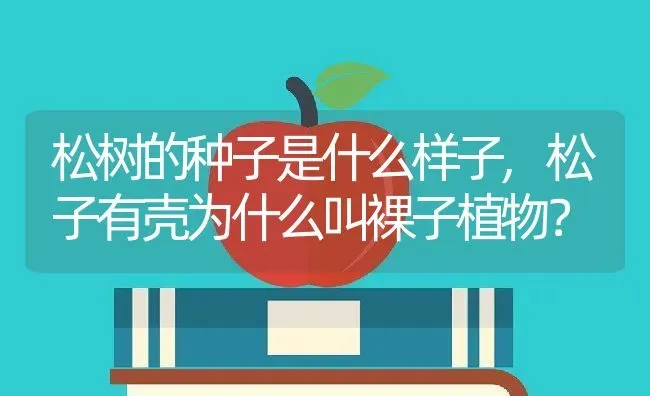 松树的种子是什么样子,松子有壳为什么叫裸子植物？ | 养殖常见问题