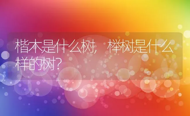 楷木是什么树,榉树是什么样的树？ | 养殖常见问题