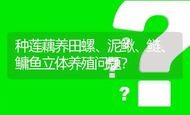 种莲藕养田螺、泥鳅、鲢、鳙鱼立体养殖问题? | 养殖问题解答