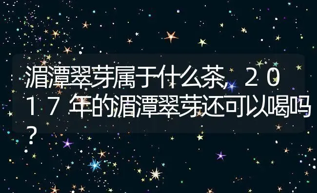 湄潭翠芽属于什么茶,2017年的湄潭翠芽还可以喝吗？ | 养殖常见问题