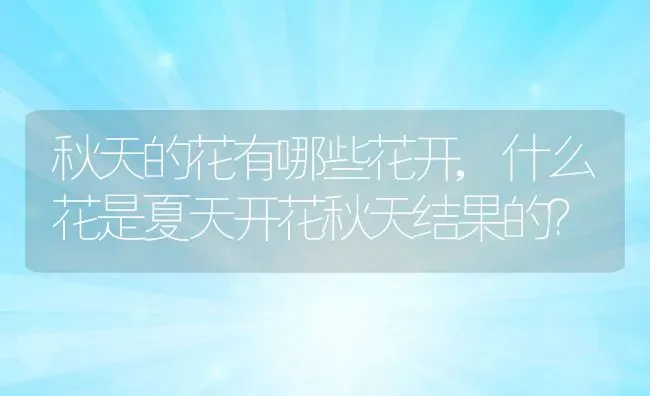 秋天的花有哪些花开,什么花是夏天开花秋天结果的？ | 养殖常见问题