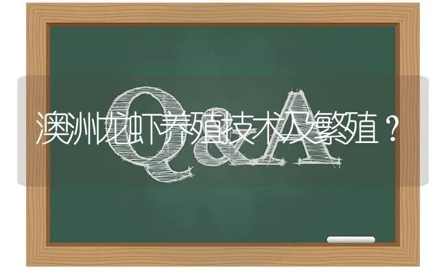 澳洲龙虾养殖技术及繁殖? | 养殖问题解答