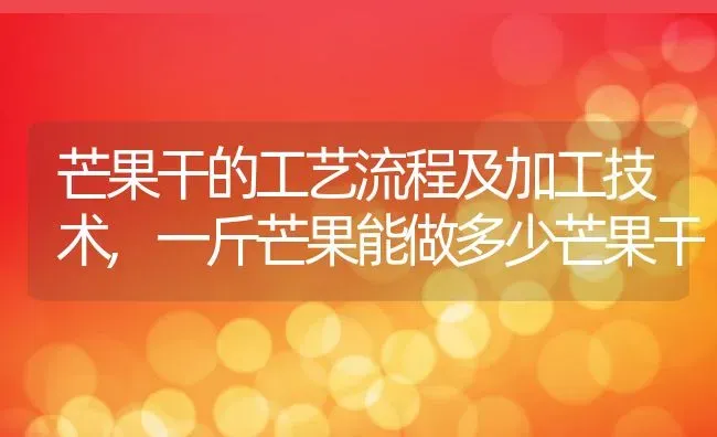芒果干的工艺流程及加工技术,一斤芒果能做多少芒果干 | 养殖常见问题