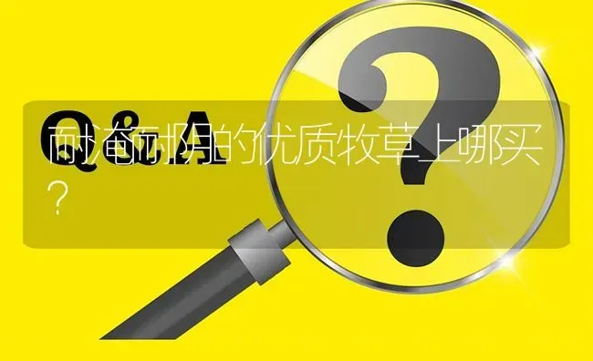 耐淹耐阴的优质牧草上哪买? | 养殖问题解答