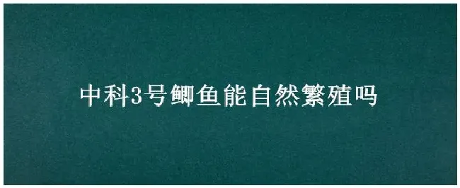 中科3号鲫鱼能自然繁殖吗 | 农业答疑