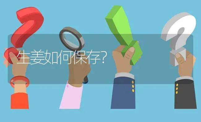 生姜如何保存? | 养殖问题解答