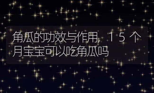 角瓜的功效与作用,15个月宝宝可以吃角瓜吗 | 养殖常见问题