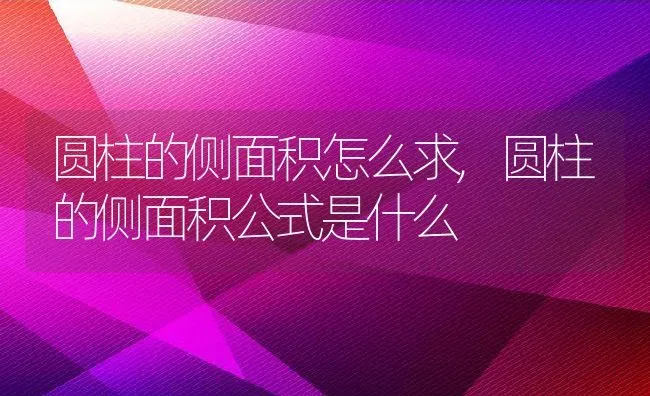 圆柱的侧面积怎么求,圆柱的侧面积公式是什么 | 养殖常见问题