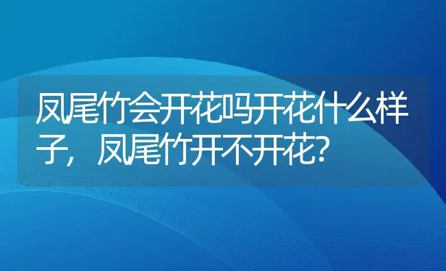 凤尾竹会开花吗开花什么样子,凤尾竹开不开花？ | 养殖常见问题