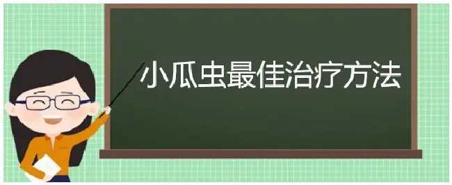 小瓜虫最佳治疗方法 | 三农答疑