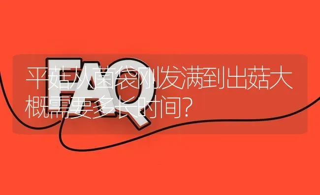 平菇从菌袋刚发满到出菇大概需要多长时间? | 养殖问题解答