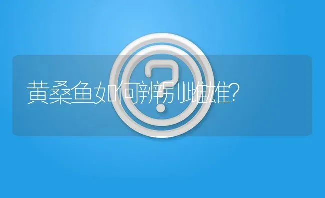 黄桑鱼如何辨别雌雄? | 养殖问题解答