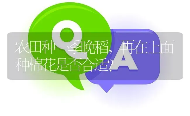农田种一季晚稻,再在上面种棉花是否合适? | 养殖问题解答