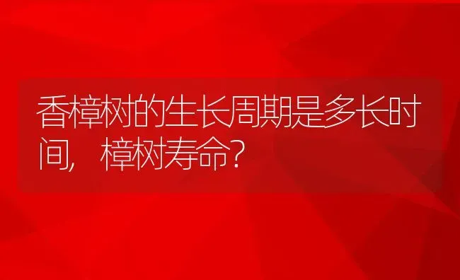 香樟树的生长周期是多长时间,樟树寿命？ | 养殖常见问题