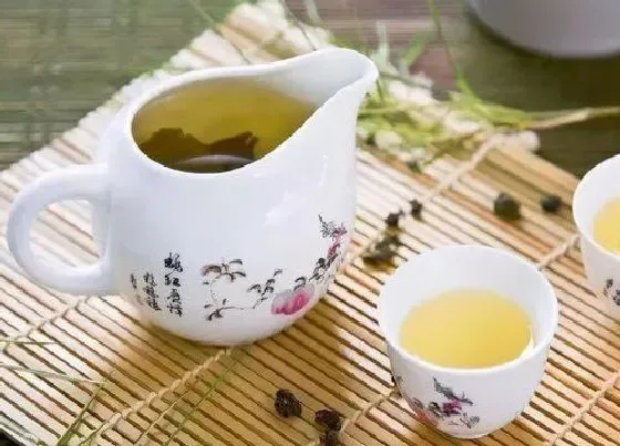 植物常识问题|葡萄乌龙茶的功效与作用