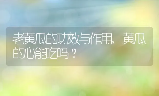 老黄瓜的功效与作用,黄瓜的心能吃吗？ | 养殖常见问题