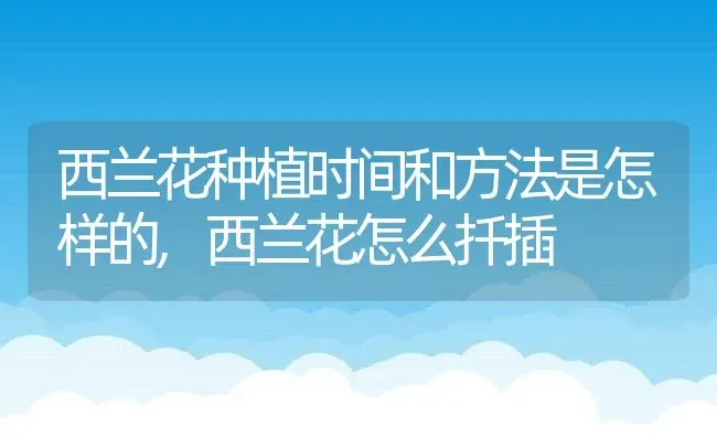 西兰花种植时间和方法是怎样的,西兰花怎么扦插 | 养殖常见问题