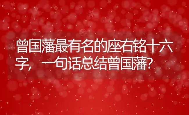 曾国藩最有名的座右铭十六字,一句话总结曾国藩？ | 养殖常见问题