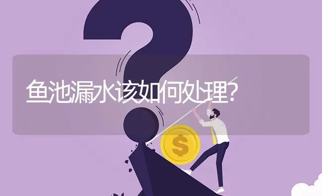 鱼池漏水该如何处理? | 养殖问题解答