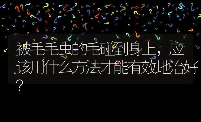 被毛毛虫的毛碰到身上,应该用什么方法才能有效地治好? | 养殖问题解答