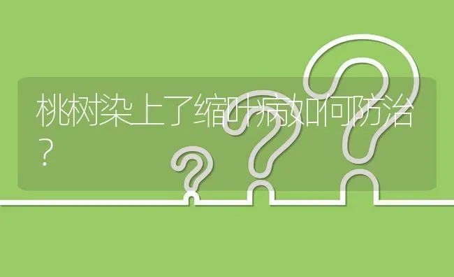 桃树染上了缩叶病如何防治? | 养殖问题解答