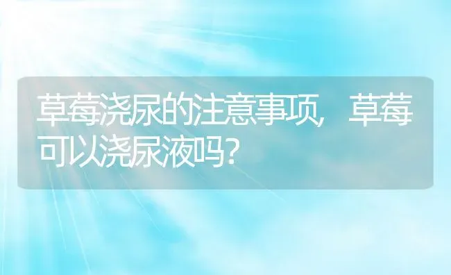 草莓浇尿的注意事项,草莓可以浇尿液吗？ | 养殖常见问题