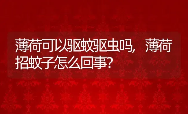 薄荷可以驱蚊驱虫吗,薄荷招蚊子怎么回事？ | 养殖常见问题