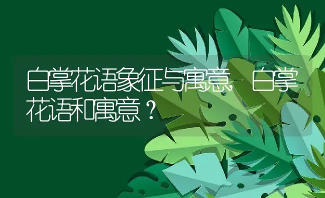 白掌花语象征与寓意,白掌花语和寓意？ | 养殖常见问题