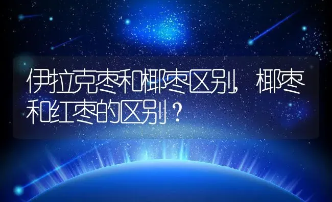 伊拉克枣和椰枣区别,椰枣和红枣的区别？ | 养殖常见问题