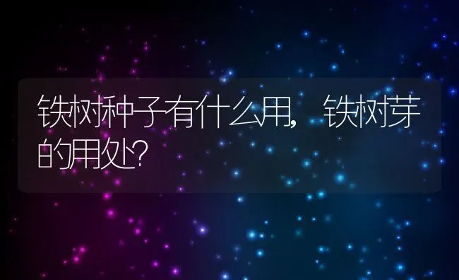 铁树种子有什么用,铁树芽的用处？ | 养殖常见问题