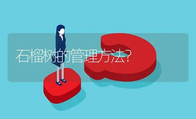 石榴树的管理方法? | 养殖问题解答