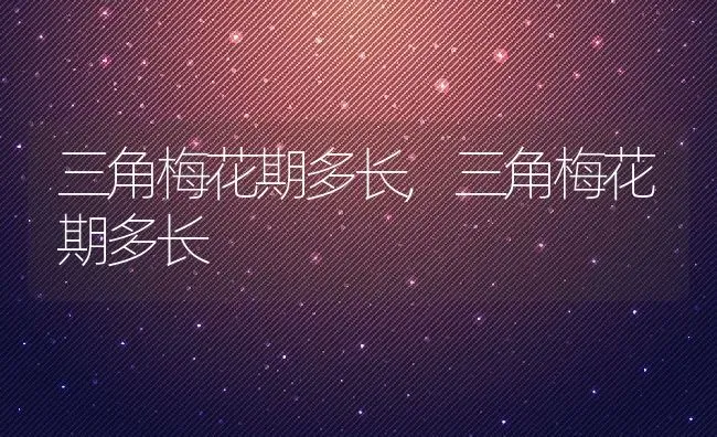 三角梅花期多长,三角梅花期多长 | 养殖常见问题