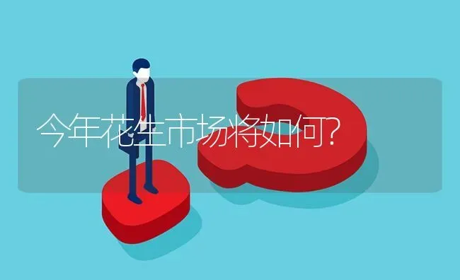 今年花生市场将如何? | 养殖问题解答