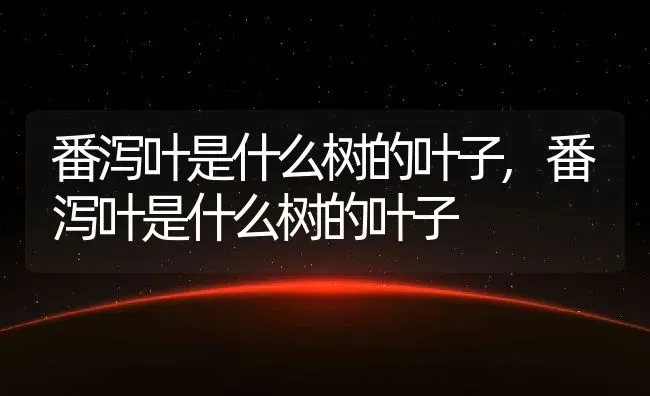 番泻叶是什么树的叶子,番泻叶是什么树的叶子 | 养殖常见问题