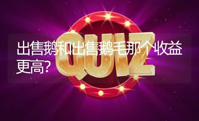 出售鹅和出售鹅毛那个收益更高? | 养殖问题解答
