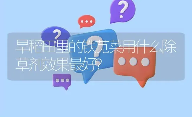 腐烂树皮中的小虫子如何防治? | 养殖问题解答