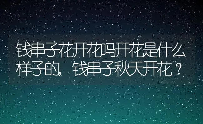 钱串子花开花吗开花是什么样子的,钱串子秋天开花？ | 养殖常见问题