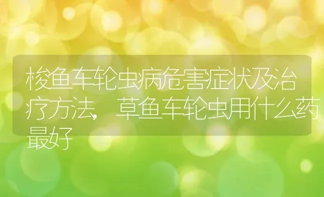 梭鱼车轮虫病危害症状及治疗方法,草鱼车轮虫用什么药最好 | 养殖常见问题