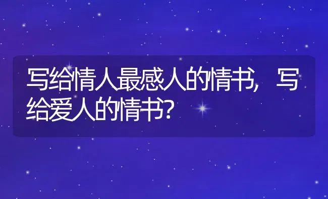 写给情人最感人的情书,写给爱人的情书？ | 养殖常见问题