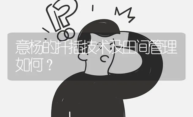 意杨的扦插技术及田间管理如何? | 养殖问题解答