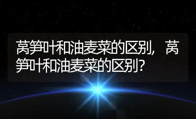 莴笋叶和油麦菜的区别,莴笋叶和油麦菜的区别？ | 养殖常见问题