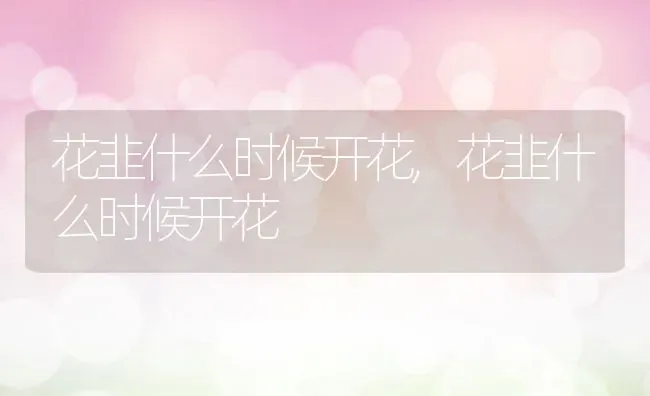 花韭什么时候开花,花韭什么时候开花 | 养殖常见问题