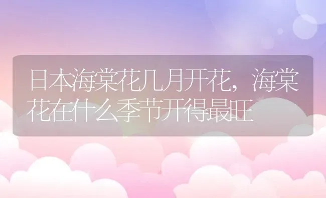 日本海棠花几月开花,海棠花在什么季节开得最旺 | 养殖常见问题