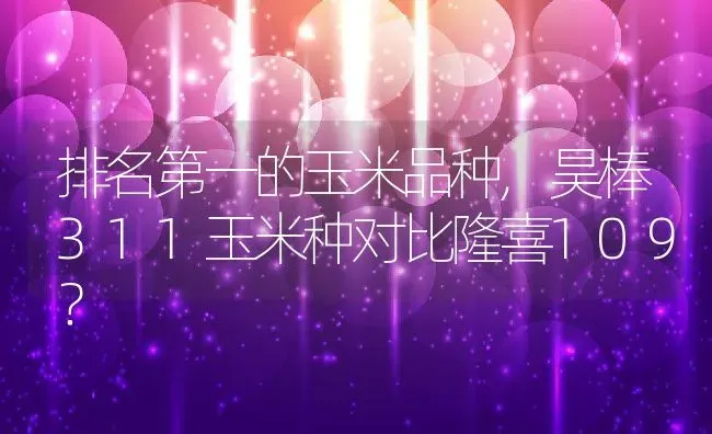 排名第一的玉米品种,昊棒311玉米种对比隆喜109？ | 养殖常见问题