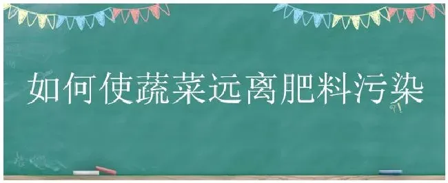 如何使蔬菜远离肥料污染 | 生活常识